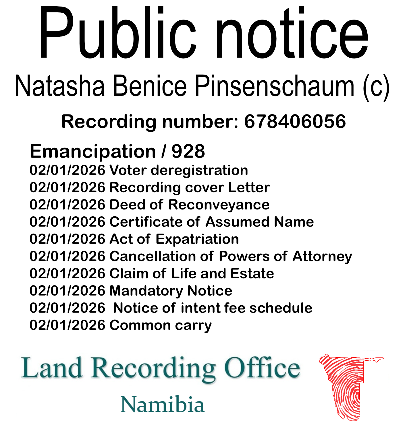 Public notice Natasha Benice Pinsenschaum Recording number 678406056